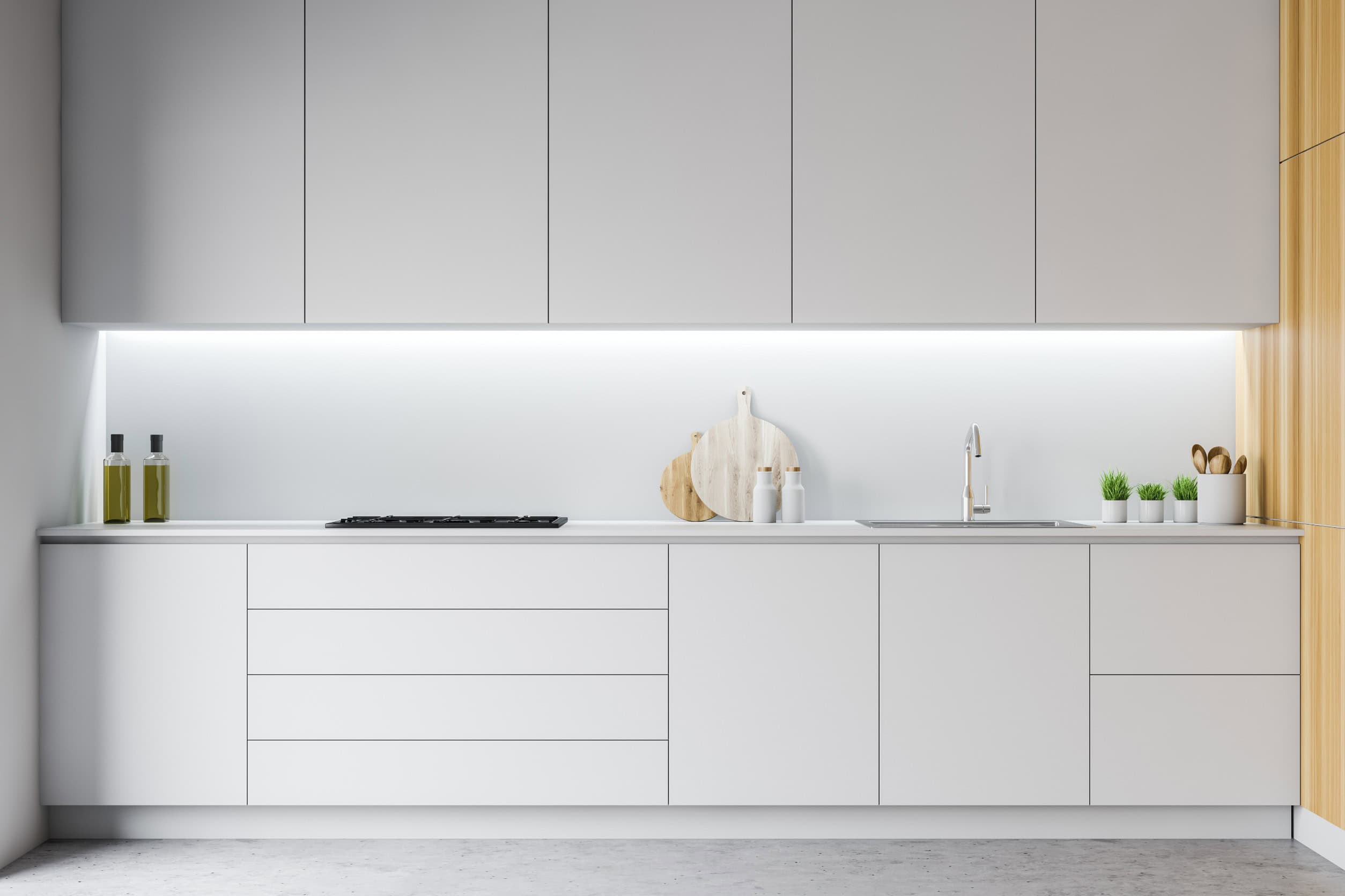 Modern minimalist kitchen