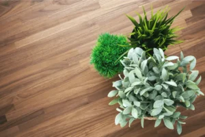 Eco-Friendly Flooring Options